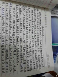 雪休的日子作文開頭