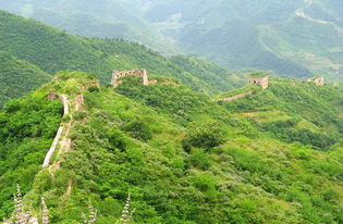 關(guān)(想過(guò)就業(yè)關(guān)，先過(guò)用“字”關(guān))