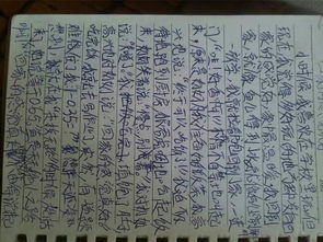我家的歡樂(lè)作文500字作文開(kāi)頭