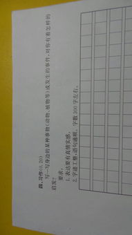 生活的啟示作文的開(kāi)頭怎么寫(xiě)100字