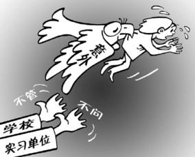 關(guān)于實(shí)習生的勞動(dòng)保障(關(guān)于實(shí)習生的實(shí)習鑒定)