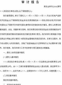 科技項目審計報告范文(科技項目財務(wù)審計報告范文完整版)