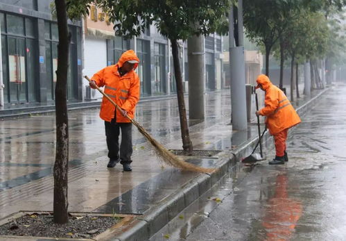雨中環(huán)衛(wèi)工人的背影作文開(kāi)頭