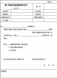 公司現(xiàn)場核查自查報(bào)告模板(決算核查自查報(bào)告)