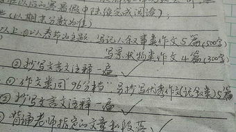 以秀為主題的作文開(kāi)頭