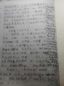 父母愛(ài)的事情作文開(kāi)頭結尾