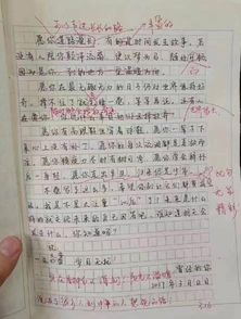 初二讀后感作文開(kāi)頭