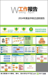 招聘專(zhuān)員的述職報告(招聘專(zhuān)員轉正述職報告)