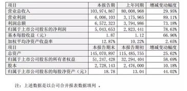財務(wù)運營(yíng)情況說(shuō)明(財務(wù)年報情況說(shuō)明)