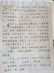 鹿晗的作文開(kāi)頭