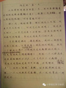 作文,開(kāi)頭,難忘,溫暖
