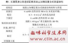 公路工程項目論文(公路工程項目的管理)