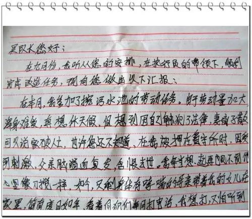 社區矯正人員的思想總結(社區矯正辦人員的工作小結)