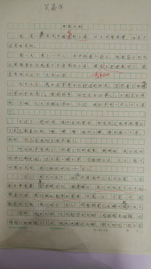 四級寫(xiě)事寫(xiě)人精彩作文開(kāi)頭