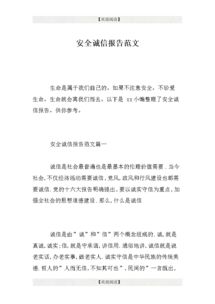 安全報告范文(安全調研報告范文)