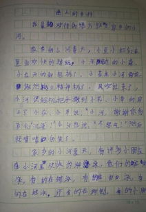寫(xiě)關(guān)于體驗鄉村生活的作文開(kāi)頭