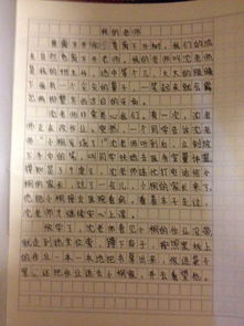 一點(diǎn)點(diǎn)作文600字作文開(kāi)頭結尾