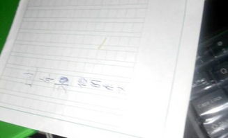 家鄉的風(fēng)俗作文600字(春節)開(kāi)頭結尾