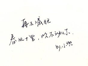 你的微笑在我夢(mèng)里作文開(kāi)頭