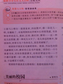 寫(xiě)學(xué)校新聞的作文開(kāi)頭