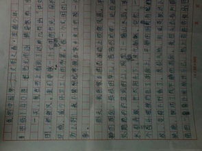 過(guò)精彩假期做美德少作文600字作文開(kāi)頭