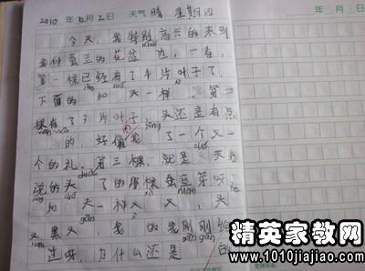 熟悉一種植物的作文開(kāi)頭結尾