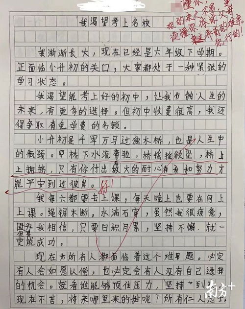 在我的學(xué)校作文開(kāi)頭結尾怎么寫(xiě)
