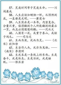七級引用詩句名言作文開頭