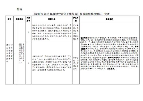 單位審計整改報告(審計整改報告)