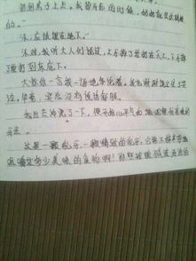 寫(xiě)趣事的作文開(kāi)頭怎么寫(xiě)