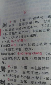 諷刺阿諛?lè )畛械淖魑拈_(kāi)頭