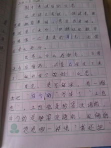 關(guān)于畫(huà)畫(huà)的開(kāi)頭作文四百字