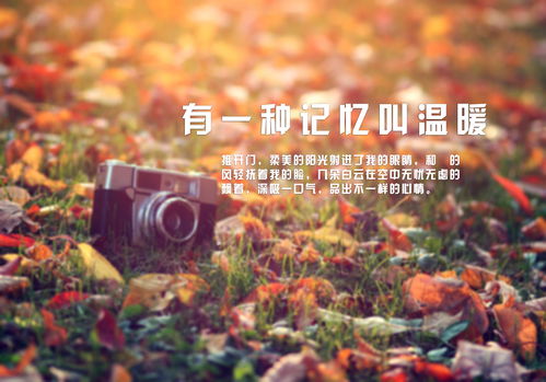 我記憶深處的目光作文開頭結尾