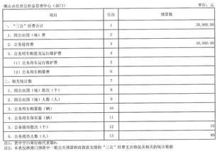 財政經(jīng)費預算報告(經(jīng)費預算報告)