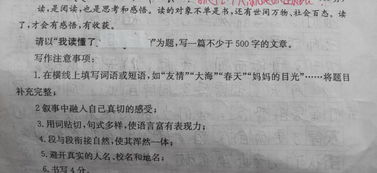 我讀懂了什么標題作文開(kāi)頭