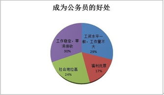 新任公務(wù)員調研報告()