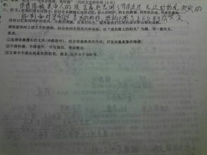 關(guān)于成長(cháng)道路的詩(shī)作文開(kāi)頭