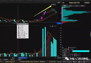 股票技術(shù)分析知識總結(教你掌握股票技術(shù)分析)