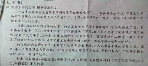 他辛苦了作文開(kāi)頭寫(xiě)清潔工