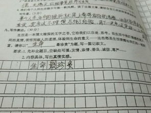 生命與我作文的開(kāi)頭