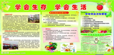 學會生存作文的精彩開頭