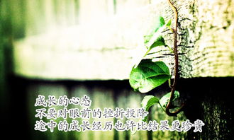 初一成長的作文開頭結尾