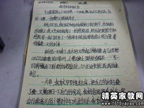 活動(dòng)總結作文開(kāi)頭