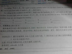 遵守規交通規則的作文開(kāi)頭