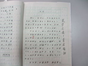 為自己的失敗喝彩作文開(kāi)頭結尾