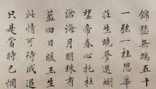讓我最感動(dòng)人作文開(kāi)頭結尾