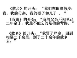 第一次獲獎作文開(kāi)頭結尾