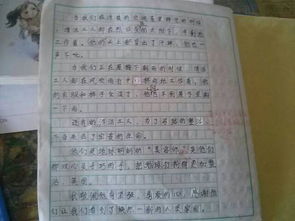 寫(xiě)敬佩清潔工的作文的開(kāi)頭和結尾