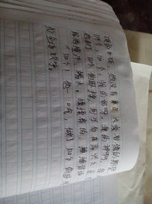 寫(xiě)有關(guān)誠信的一件事作文開(kāi)頭結尾怎么寫(xiě)