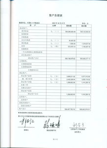 會(huì )計報表審計報告(會(huì )計報表審計報告)